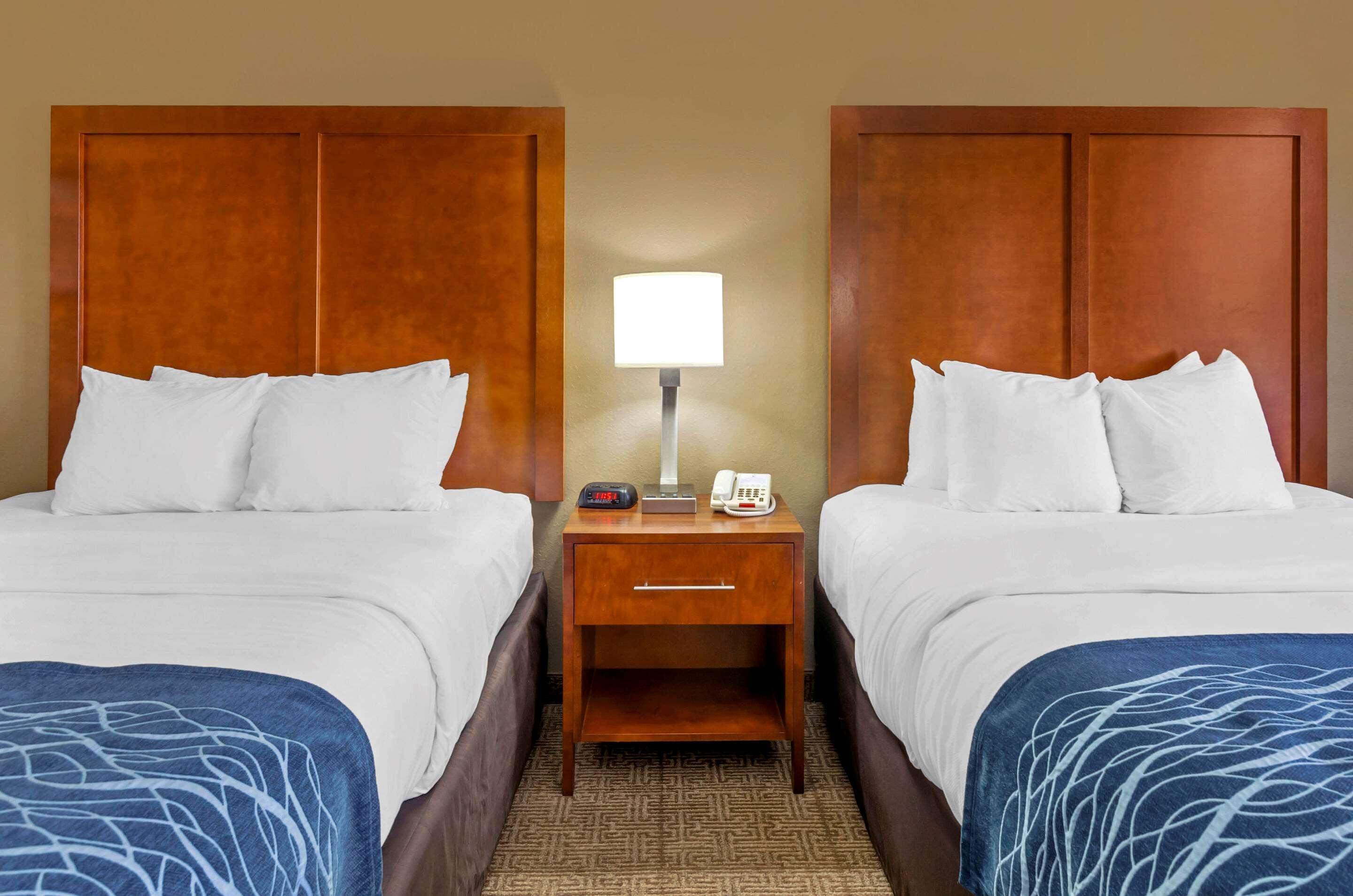 Comfort Inn & Suites Lynchburg Airport - University Area Luaran gambar